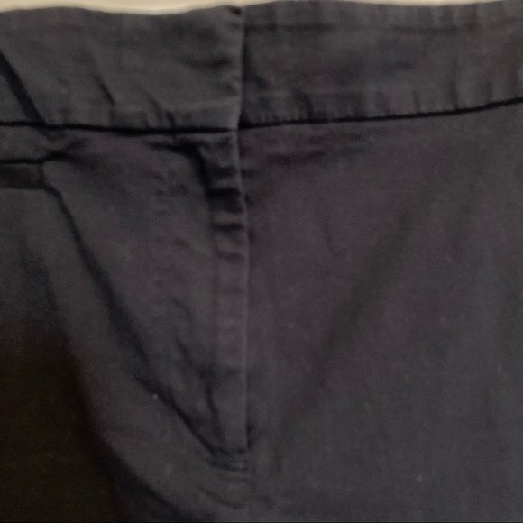 ANN TAYLOR Modern Fit City Short Dark Blue Womens Plus Size 18 - Picture 9 of 11